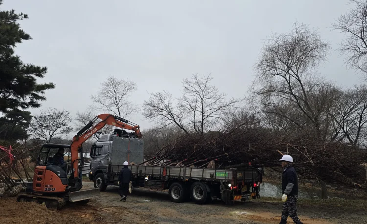 영암군, 상대포공원과 계천제 벚나무숲으로 연결