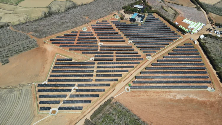 해남 보해매실농원, 태양광 발전 시공사와 법적 갈등