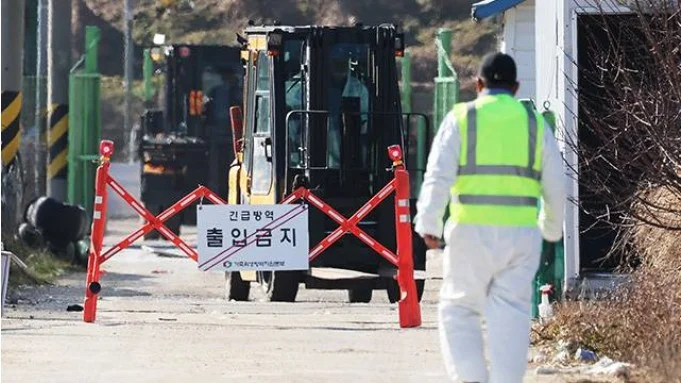 김제 농장 AI 확진