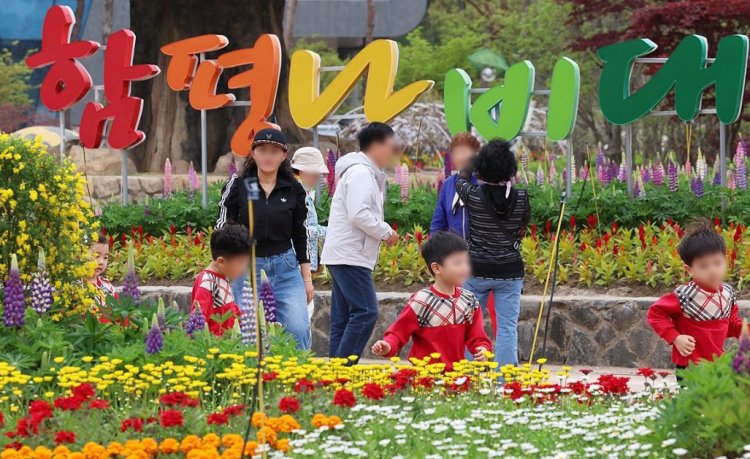 함평 나비축제 2026