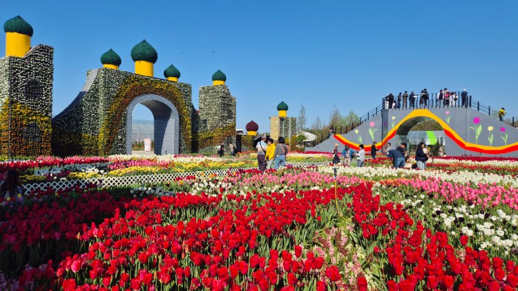 2026 태안 튤립축제