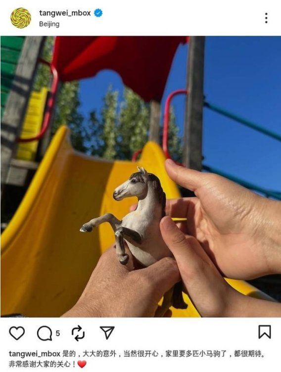 탕웨이 둘째 임신 SNS 말 표현