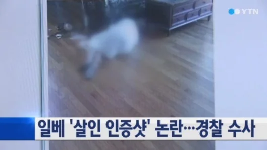 일베저장소 논란