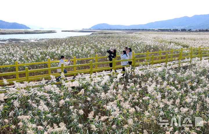 광주·전남 한낮 23도 포근…출근길 짙은 안개 '주의'