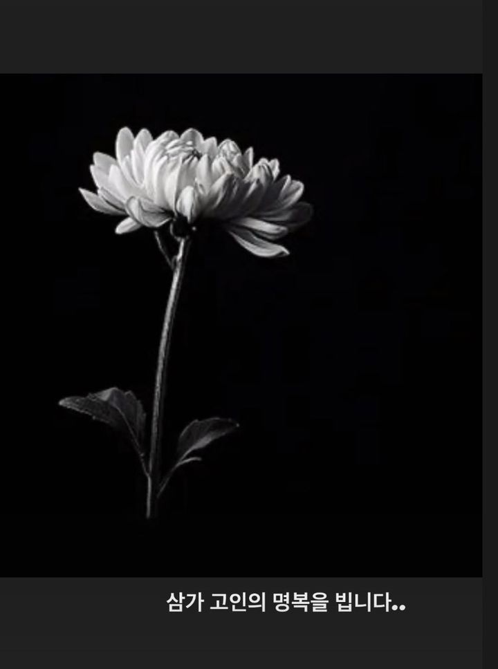 김호영, 안성기 추모…"삼가 고인의 명복을 빕니다"